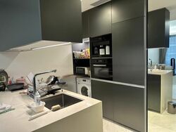 Cairnhill Nine (D9), Apartment #473415841